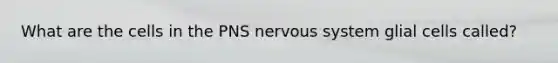 What are the cells in the PNS nervous system glial cells called?