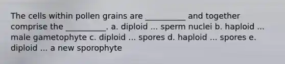 The cells within pollen grains are __________ and together comprise the __________. a. diploid ... sperm nuclei b. haploid ... male gametophyte c. diploid ... spores d. haploid ... spores e. diploid ... a new sporophyte