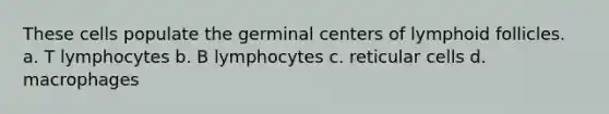 These cells populate the germinal centers of lymphoid follicles. a. T lymphocytes b. B lymphocytes c. reticular cells d. macrophages