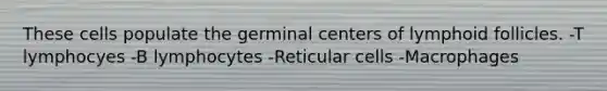 These cells populate the germinal centers of lymphoid follicles. -T lymphocyes -B lymphocytes -Reticular cells -Macrophages