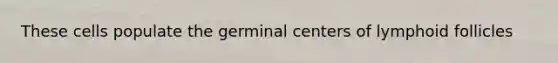 These cells populate the germinal centers of lymphoid follicles