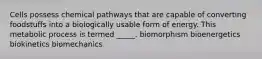 Cells possess chemical pathways that are capable of converting foodstuffs into a biologically usable form of energy. This metabolic process is termed _____. biomorphism bioenergetics biokinetics biomechanics