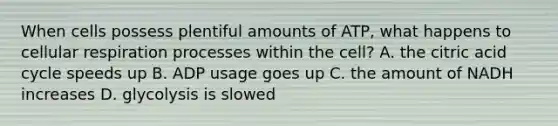 When cells possess plentiful amounts of ATP, what happens to cellular respiration processes within the cell? A. the citric acid cycle speeds up B. ADP usage goes up C. the amount of NADH increases D. glycolysis is slowed