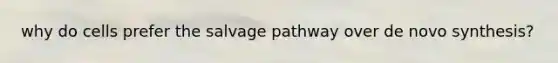 why do cells prefer the salvage pathway over de novo synthesis?