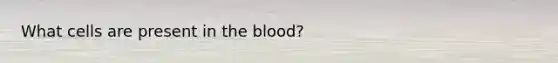 What cells are present in the blood?