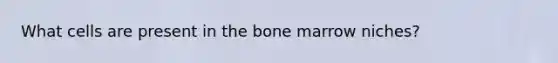 What cells are present in the bone marrow niches?