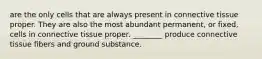 are the only cells that are always present in connective tissue proper. They are also the most abundant permanent, or fixed, cells in connective tissue proper. ________ produce connective tissue fibers and ground substance.