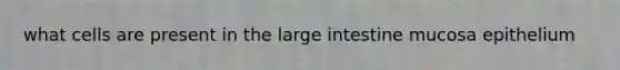 what cells are present in the large intestine mucosa epithelium