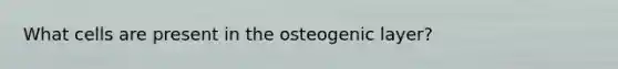 What cells are present in the osteogenic layer?