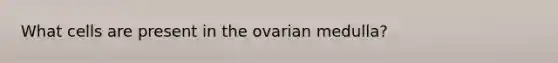 What cells are present in the ovarian medulla?