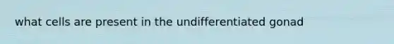 what cells are present in the undifferentiated gonad