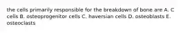 the cells primarily responsible for the breakdown of bone are A. C cells B. osteoprogenitor cells C. haversian cells D. osteoblasts E. osteoclasts