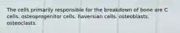 The cells primarily responsible for the breakdown of bone are C cells. osteoprogenitor cells. haversian cells. osteoblasts. osteoclasts.