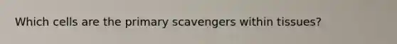 Which cells are the primary scavengers within tissues?