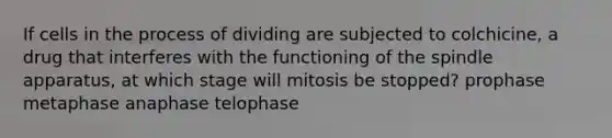 If cells in the process of dividing are subjected to colchicine, a drug that interferes with the functioning of the spindle apparatus, at which stage will mitosis be stopped? prophase metaphase anaphase telophase