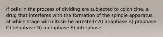 If cells in the process of dividing are subjected to colchicine, a drug that interferes with the formation of the spindle apparatus, at which stage will mitosis be arrested? A) anaphase B) prophase C) telophase D) metaphase E) interphase