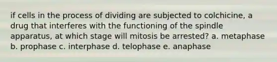 if cells in the process of dividing are subjected to colchicine, a drug that interferes with the functioning of the spindle apparatus, at which stage will mitosis be arrested? a. metaphase b. prophase c. interphase d. telophase e. anaphase