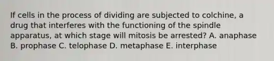 If cells in the process of dividing are subjected to colchine, a drug that interferes with the functioning of the spindle apparatus, at which stage will mitosis be arrested? A. anaphase B. prophase C. telophase D. metaphase E. interphase