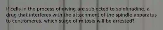 If cells in the process of diving are subjected to spinfinadine, a drug that interferes with the attachment of the spindle apparatus to centromeres, which stage of mitosis will be arrested?