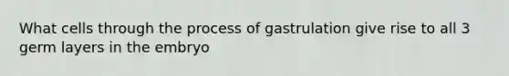 What cells through the process of gastrulation give rise to all 3 germ layers in the embryo