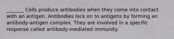 _______ Cells produce antibodies when they come into contact with an antigen. Antibodies lock on to antigens by forming an antibody-antigen complex. They are involved in a specific response called antibody-mediated immunity.