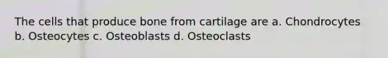 The cells that produce bone from cartilage are a. Chondrocytes b. Osteocytes c. Osteoblasts d. Osteoclasts