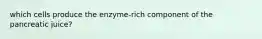 which cells produce the enzyme-rich component of the pancreatic juice?