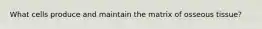 What cells produce and maintain the matrix of osseous tissue?