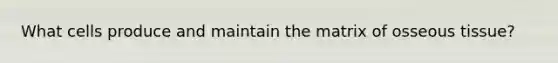 What cells produce and maintain the matrix of osseous tissue?