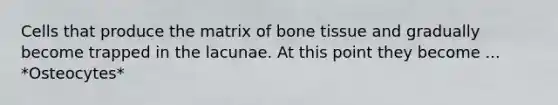 Cells that produce the matrix of bone tissue and gradually become trapped in the lacunae. At this point they become ... *Osteocytes*