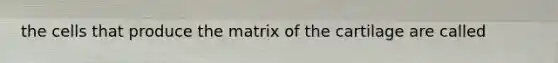 the cells that produce the matrix of the cartilage are called