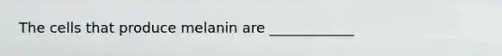 The cells that produce melanin are ____________