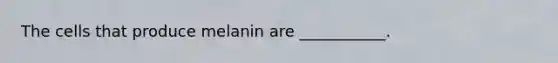 The cells that produce melanin are ___________.