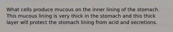 What cells produce mucous on the inner lining of the stomach. This mucous lining is very thick in the stomach and this thick layer will protect the stomach lining from acid and secretions.