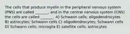 The cells that produce myelin in the peripheral nervous system (PNS) are called _______, and in the central nervous system (CNS) the cells are called _______. A) Schwann cells; oligodendrocytes B) astrocytes; Schwann cells C) oligodendrocytes; Schwann cells D) Schwann cells; microglia E) satellite cells; astrocytes