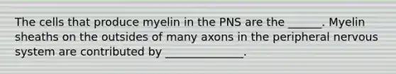 The cells that produce myelin in the PNS are the ______. Myelin sheaths on the outsides of many axons in the peripheral nervous system are contributed by ______________.