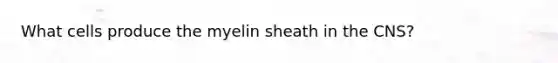 What cells produce the myelin sheath in the CNS?