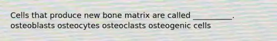 Cells that produce new bone matrix are called __________. osteoblasts osteocytes osteoclasts osteogenic cells