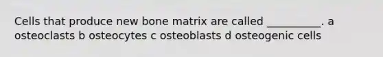 Cells that produce new bone matrix are called __________. a osteoclasts b osteocytes c osteoblasts d osteogenic cells