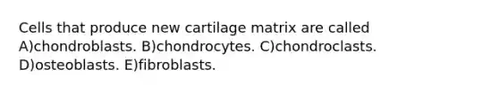 Cells that produce new cartilage matrix are called A)chondroblasts. B)chondrocytes. C)chondroclasts. D)osteoblasts. E)fibroblasts.