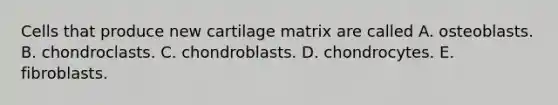 Cells that produce new cartilage matrix are called A. osteoblasts. B. chondroclasts. C. chondroblasts. D. chondrocytes. E. fibroblasts.