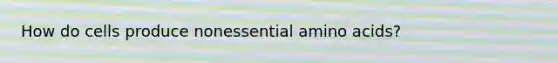 How do cells produce nonessential amino acids?