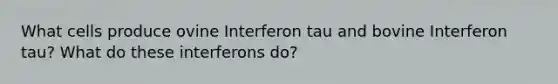 What cells produce ovine Interferon tau and bovine Interferon tau? What do these interferons do?