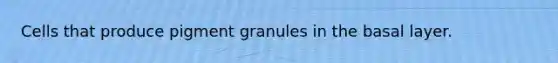 Cells that produce pigment granules in the basal layer.