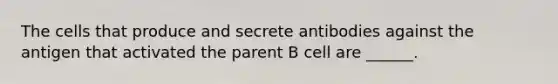 The cells that produce and secrete antibodies against the antigen that activated the parent B cell are ______.