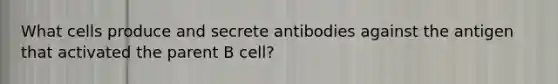 What cells produce and secrete antibodies against the antigen that activated the parent B cell?