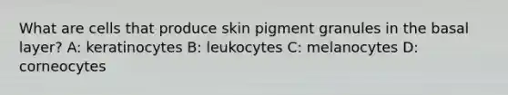 What are cells that produce skin pigment granules in the basal layer? A: keratinocytes B: leukocytes C: melanocytes D: corneocytes