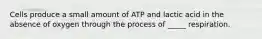 Cells produce a small amount of ATP and lactic acid in the absence of oxygen through the process of _____ respiration.