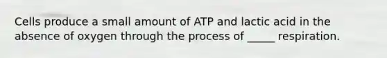 Cells produce a small amount of ATP and lactic acid in the absence of oxygen through the process of _____ respiration.