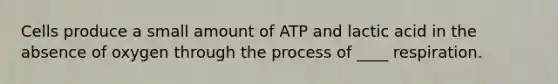 Cells produce a small amount of ATP and lactic acid in the absence of oxygen through the process of ____ respiration.